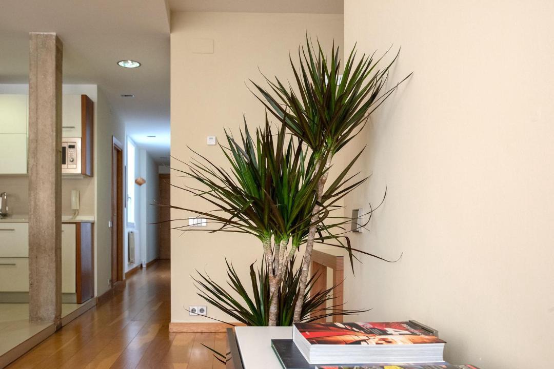 Photo of Livingroom in Logrono City Centre