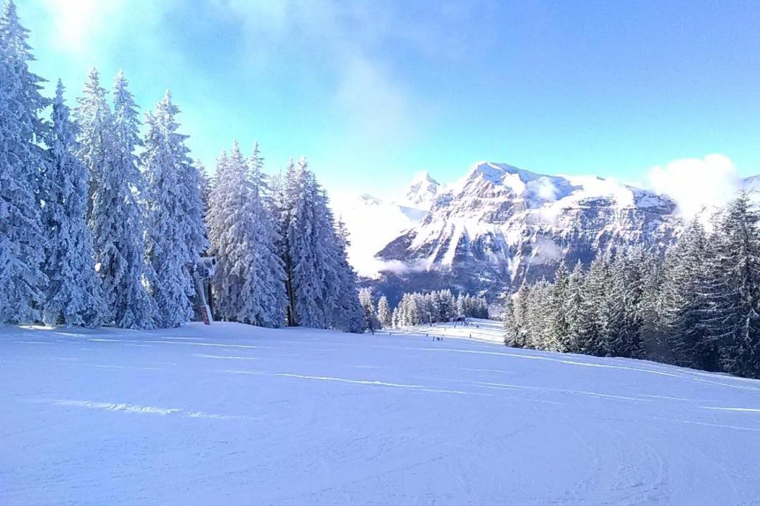 Photo of Others in Onnion