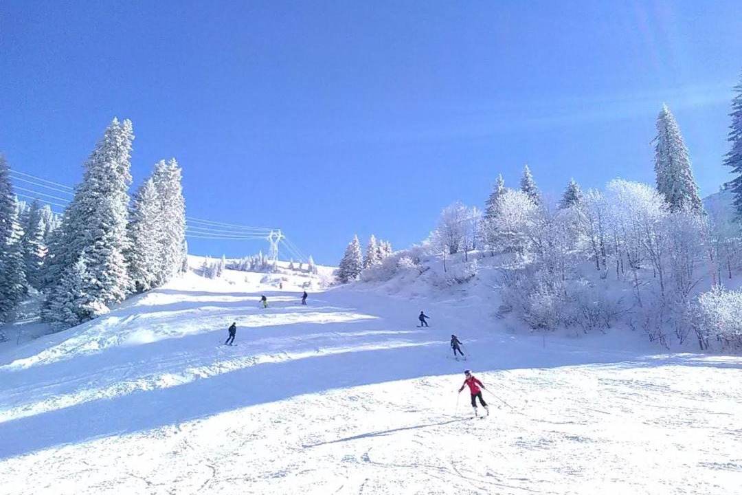 Photo of Others in Onnion