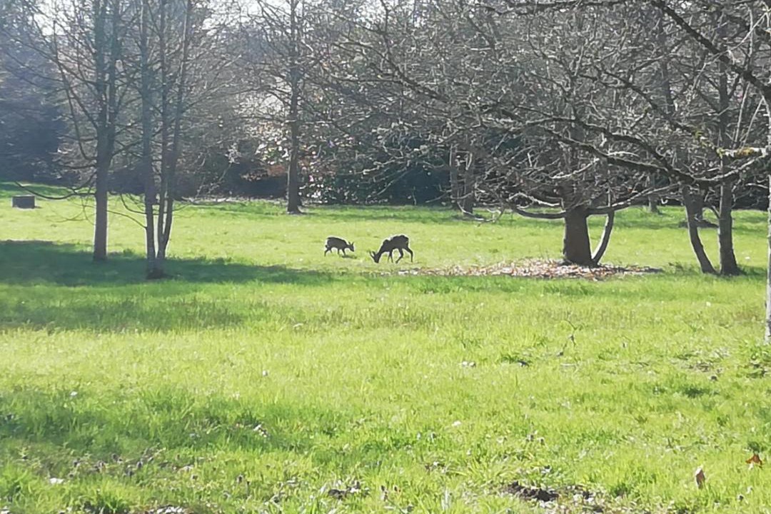 Photo of Others in Mialet