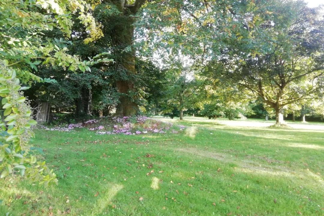 Photo of Outdoor in Mialet