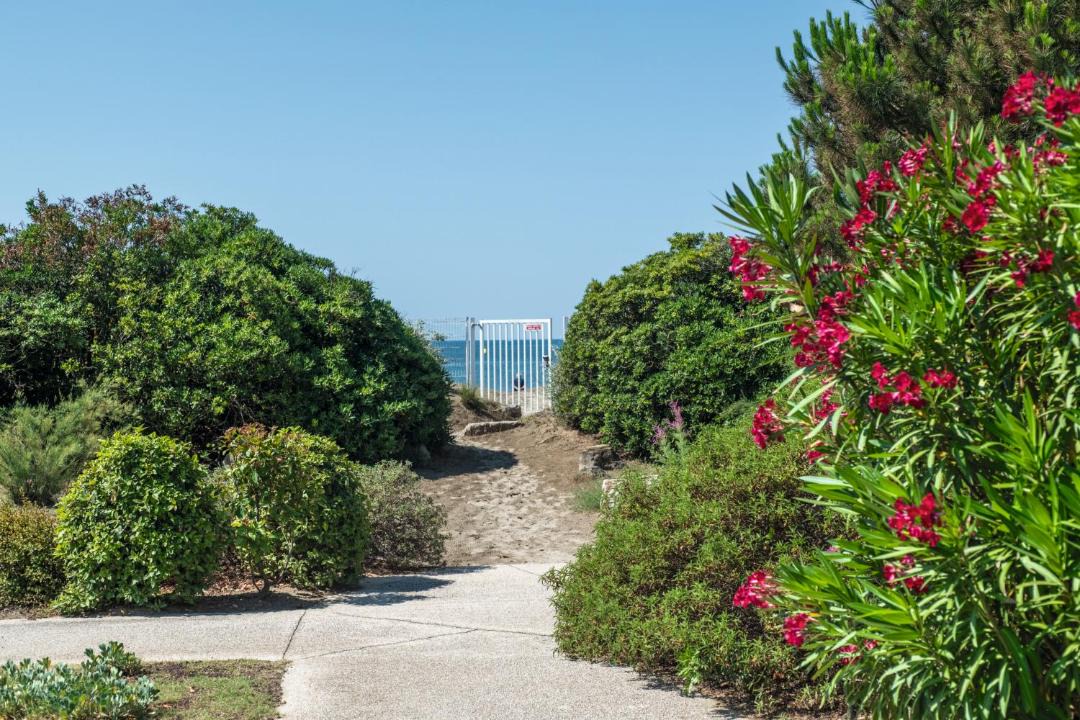 Photo of Others in Le Grau-Du-Roi