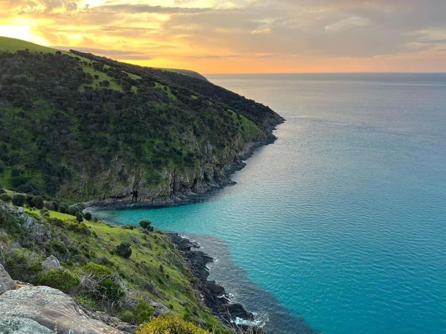 Photo of Others in Cuttlefish Bay