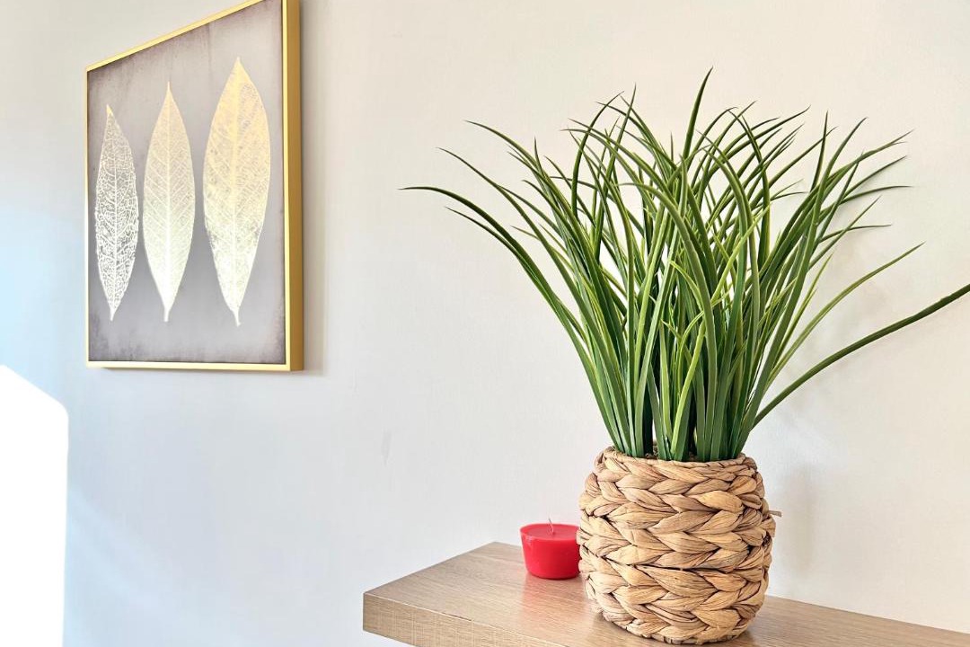 Photo of Others in Chasseneuil-du-Poitou