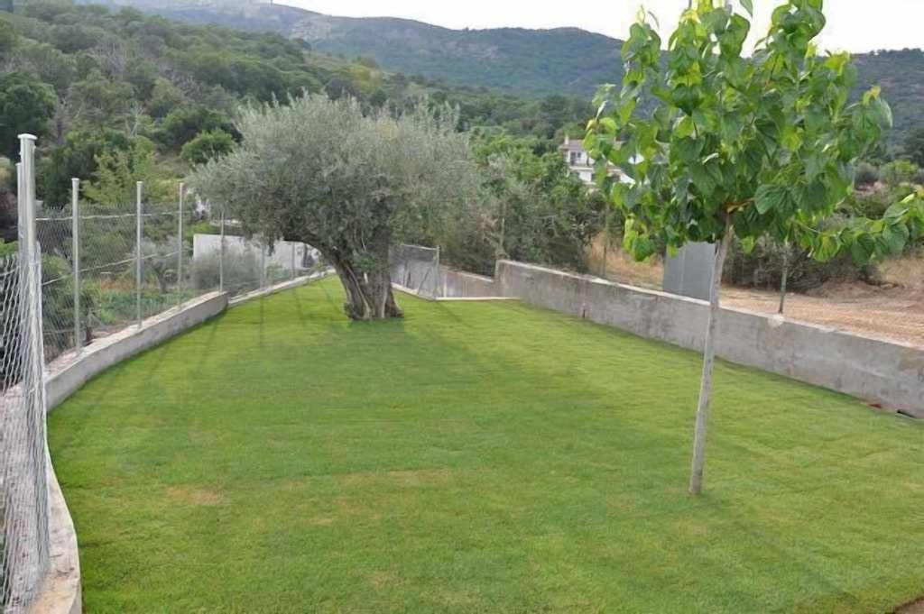 Photo of Others in El Real de San Vicente