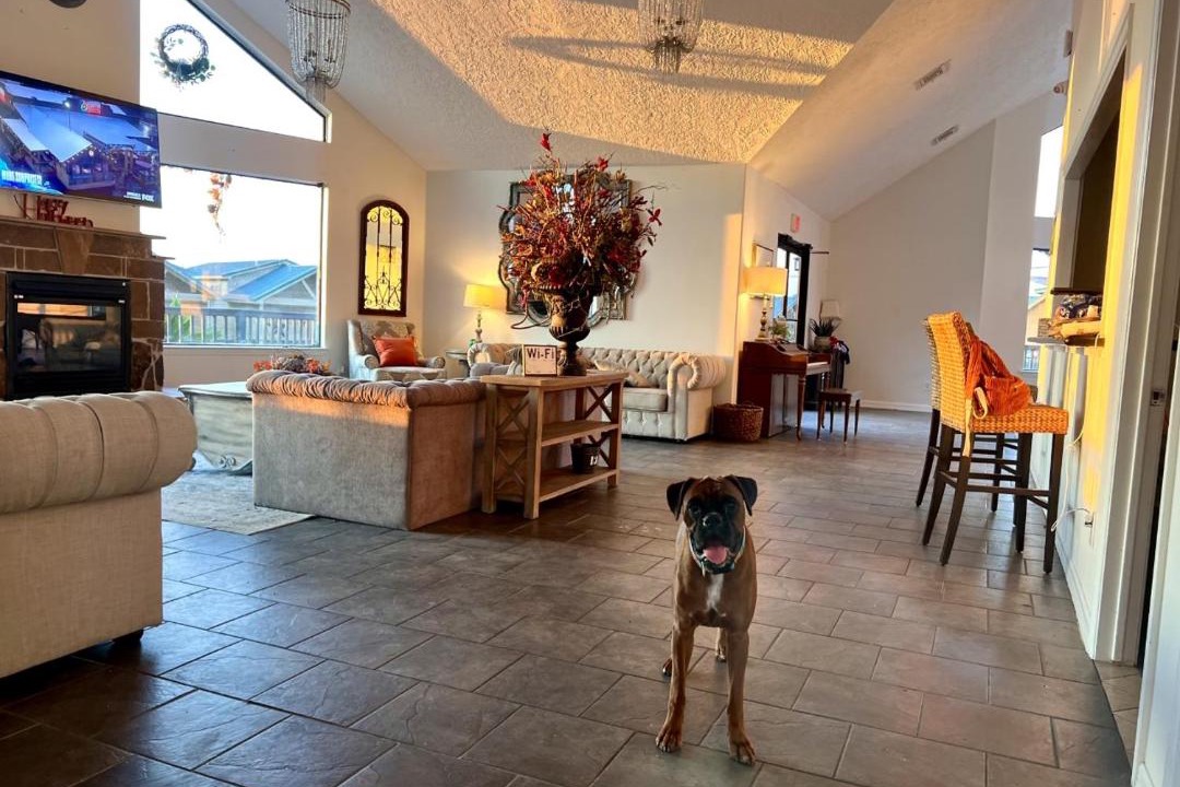 Photo of Livingroom in Willis