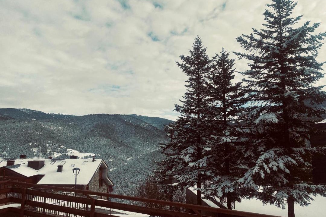 Photo of Others in La Molina