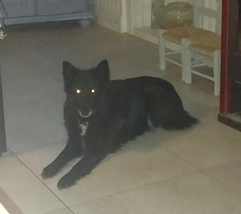 Photo of Others in Souge-le-Ganelon