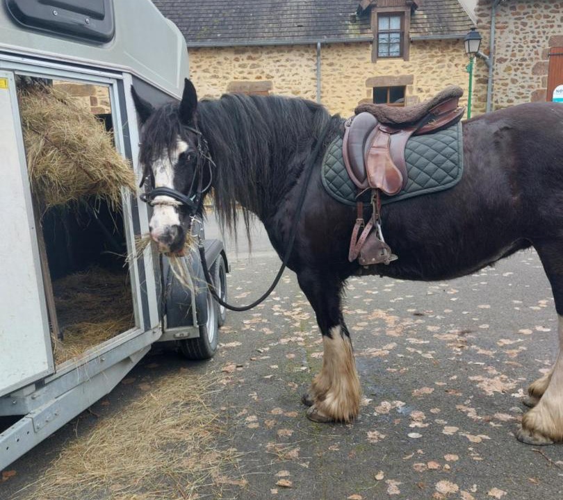 Photo of Others in Souge-le-Ganelon