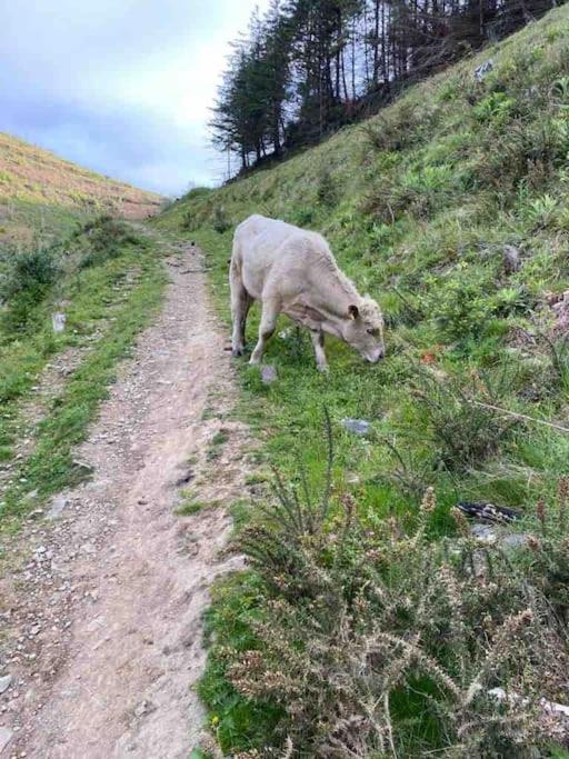 Photo of Outdoor in Cwmcarn