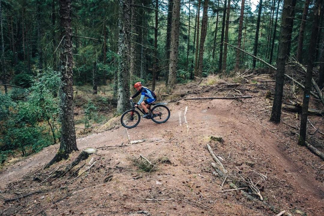 Photo of Others in Henne