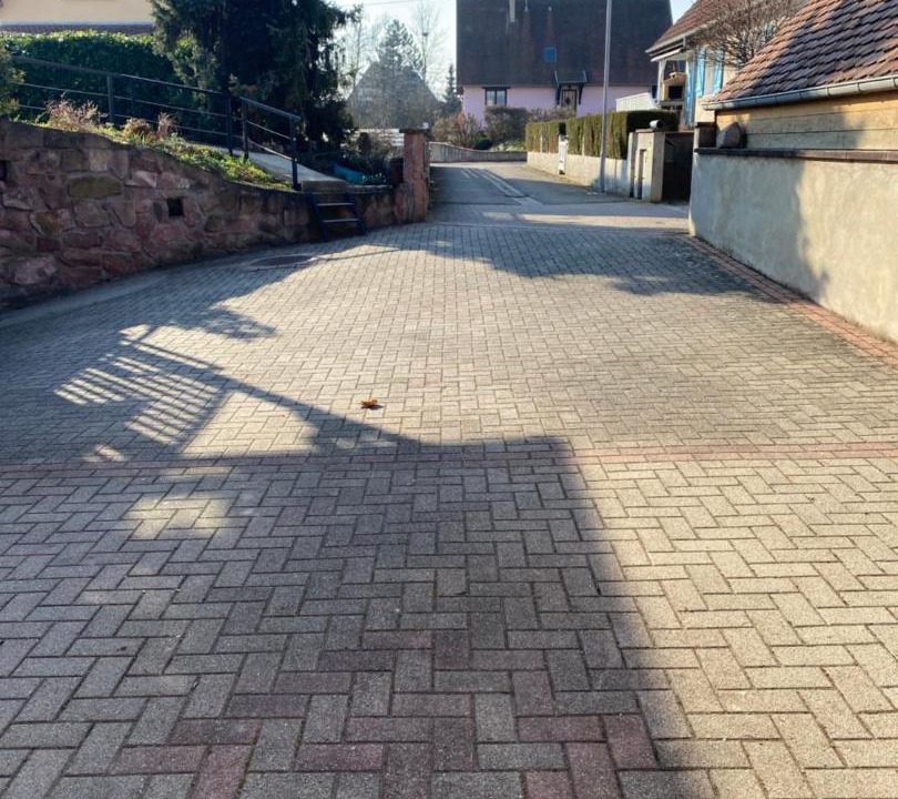 Photo of Others in Sermersheim