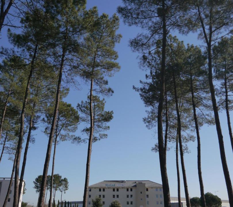 Photo of Outdoor in Saint-Avit