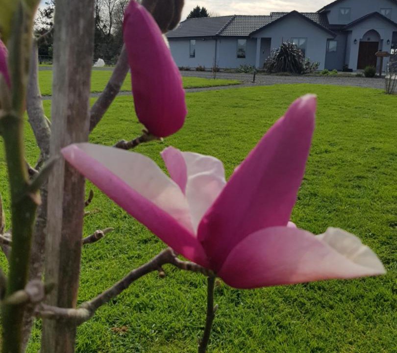 Photo of Outdoor in Tamahere