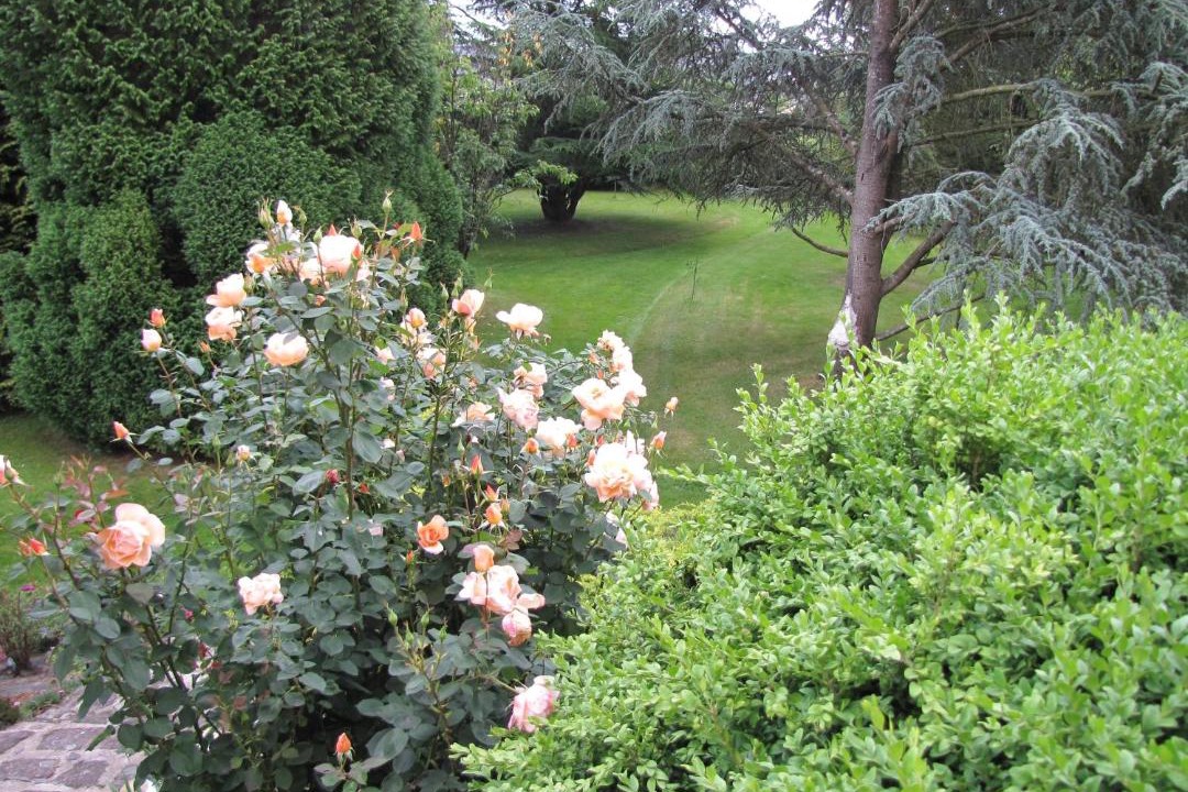 Photo of Outdoor in Baulon