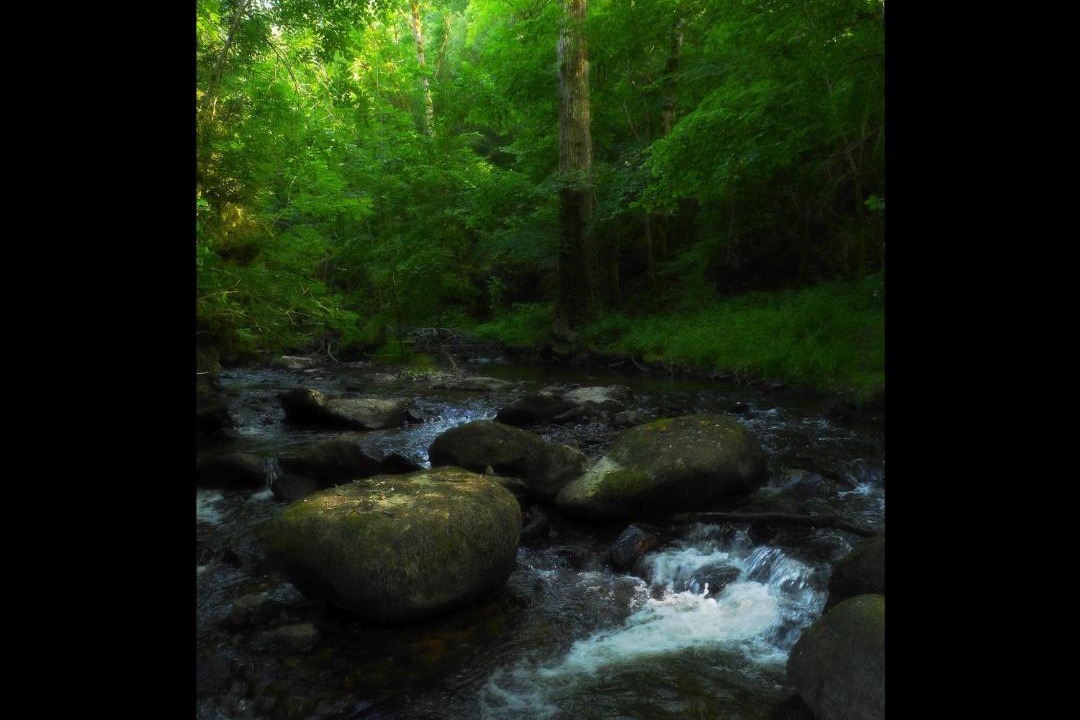 Photo of Others in Enguiales