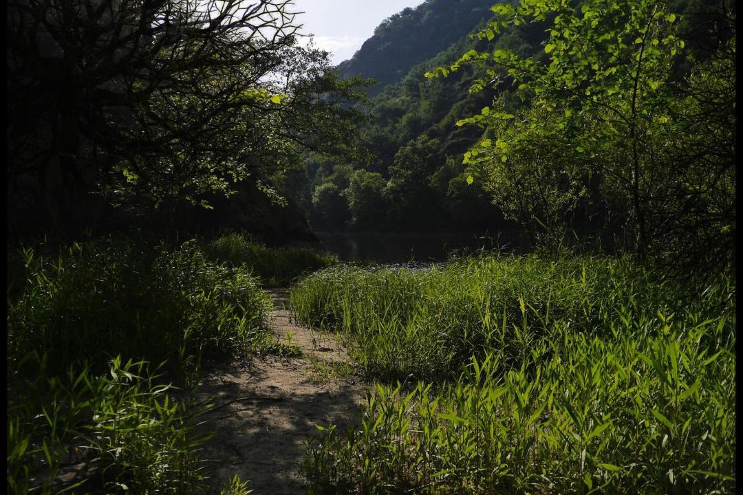 Photo of Others in Enguiales