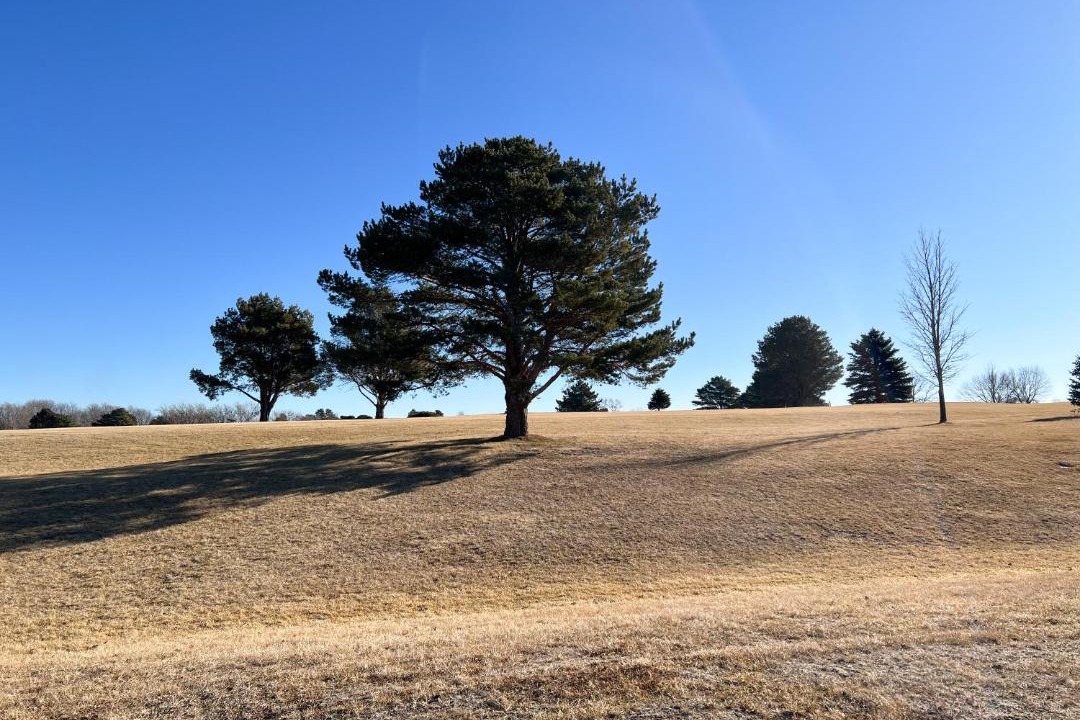 Photo of Others in Sutton
