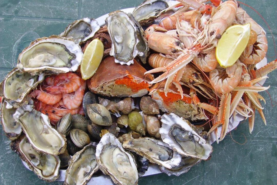 Photo of Human In Picture in Cancale