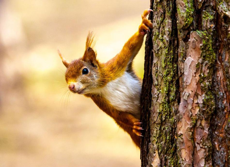 Photo of Others in Formby