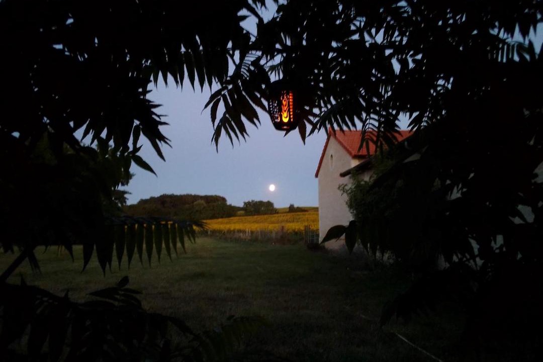 Photo of Others in Braye-Sous-Faye