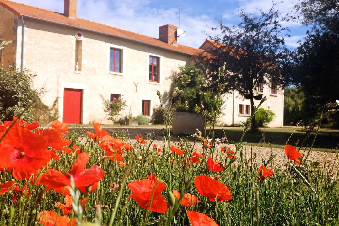 Photo of Others in Braye-Sous-Faye