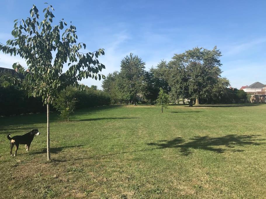 Photo of Outdoor in Aulnoy-lez-Valenciennes