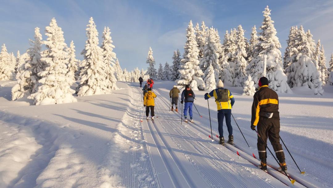 Photo of Others in Ironwood