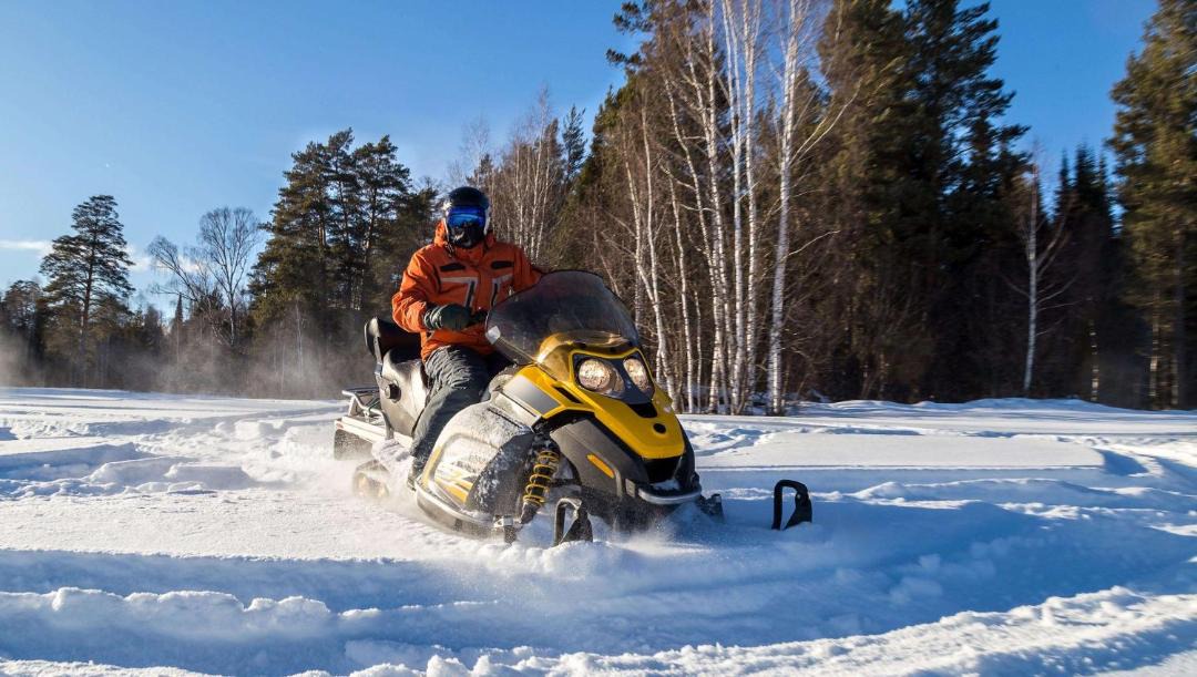 Photo of Others in Ironwood