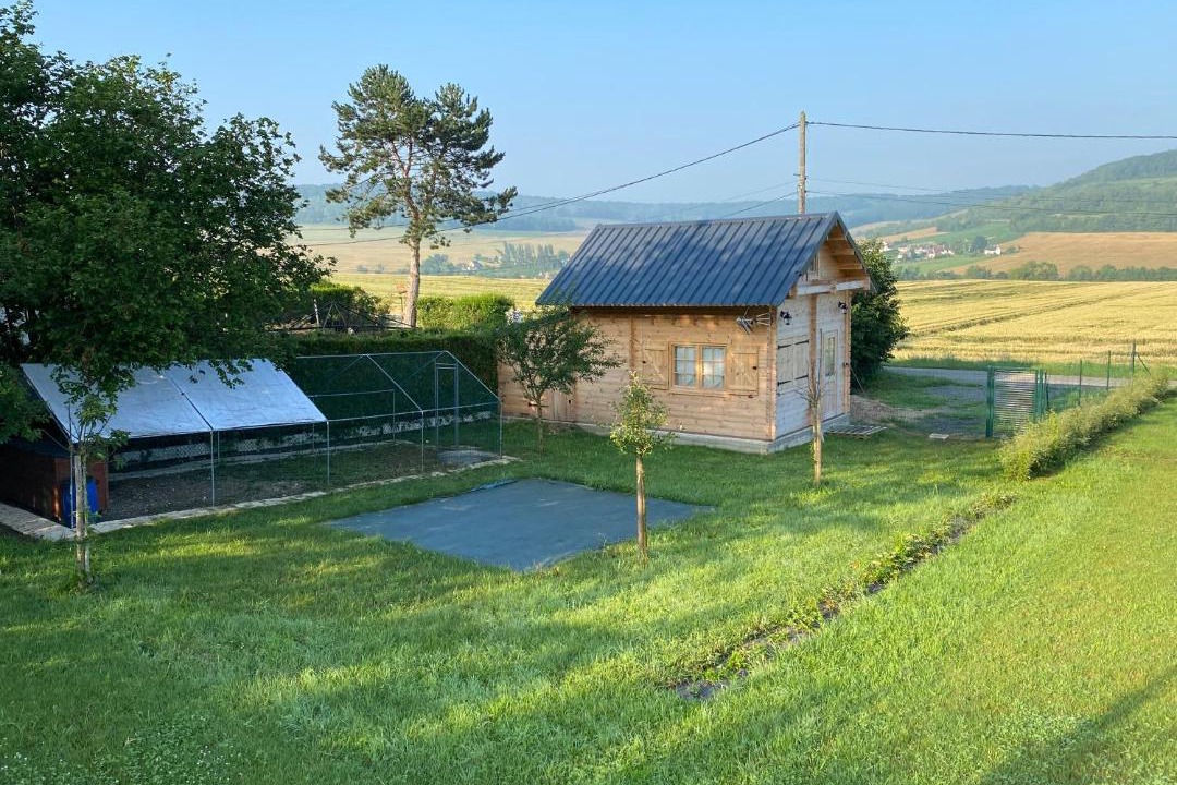 Photo of Others in Connigis