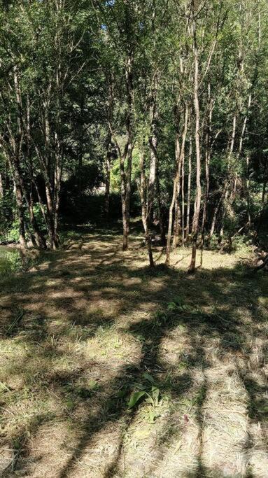 Photo of Outdoor in Pont-de-Ruan