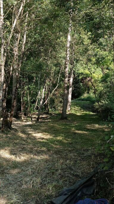 Photo of Outdoor in Pont-de-Ruan