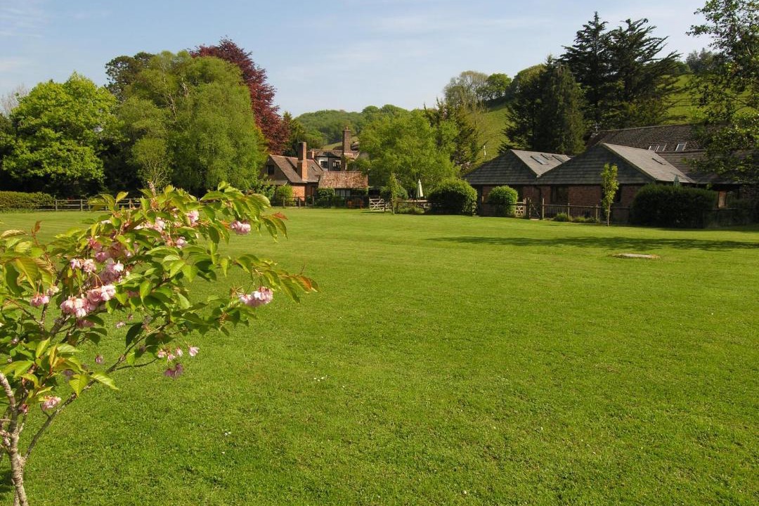 Photo of Others in Minehead