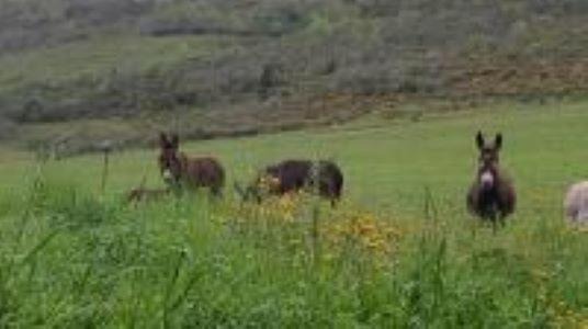 Photo of Others in Fa