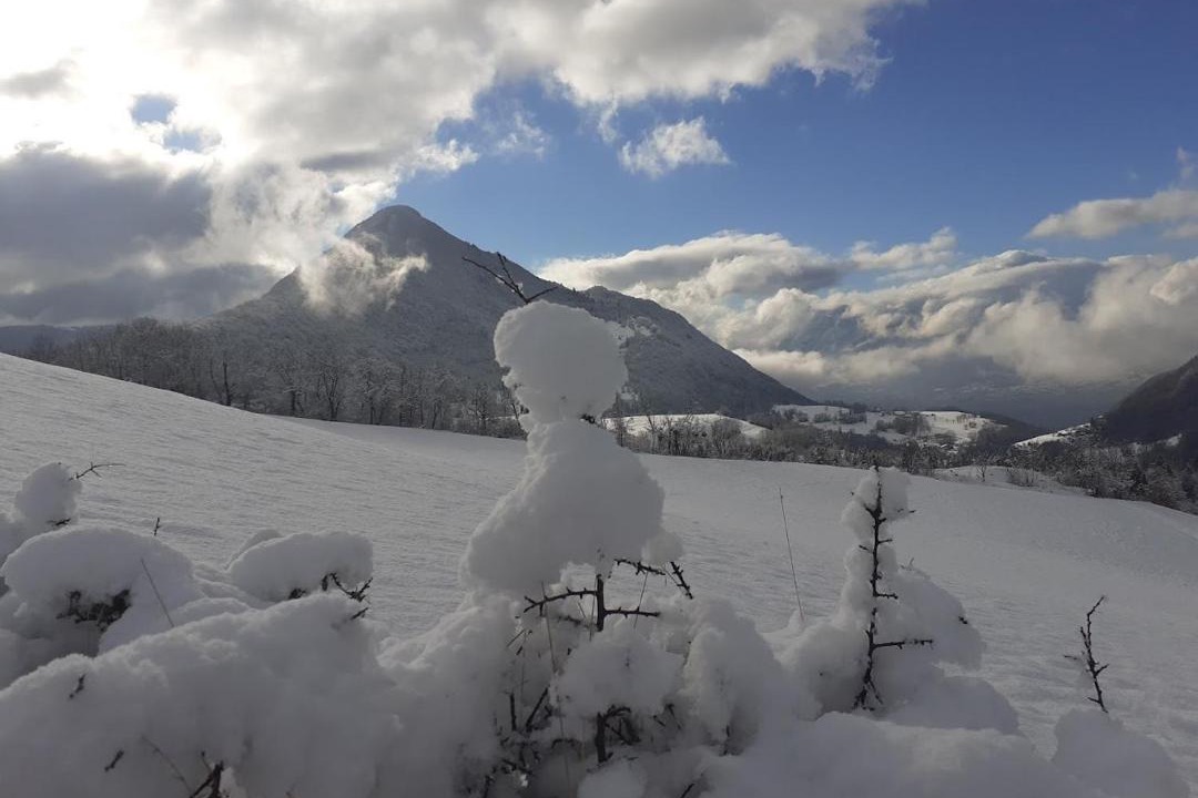 Photo of Others in Puygros