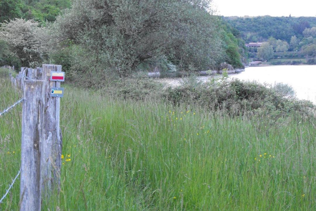 Photo of Others in Saint-Paul-de-Vezelin