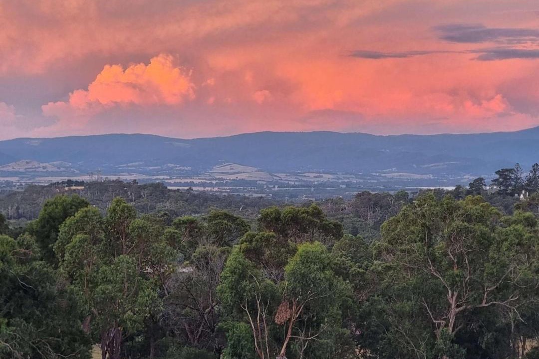 Photo of Outdoor in Lilydale