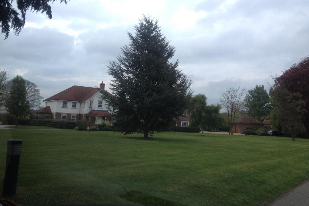 Photo of Others in Wallingford