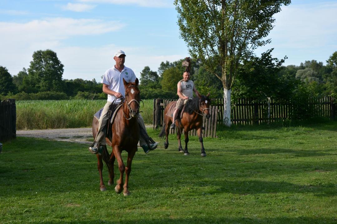 Photo of Others in Sisak
