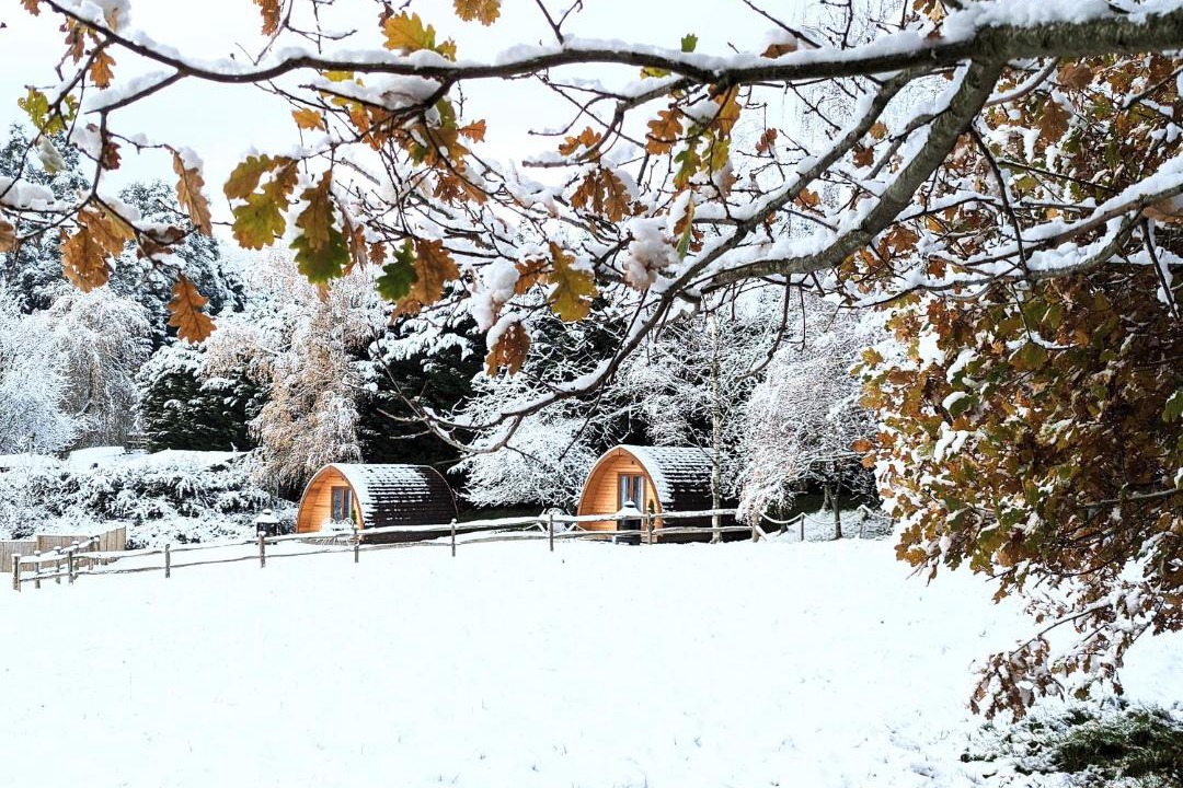 Photo of Others in Royal Tunbridge Wells