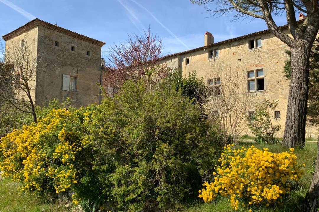 Photo of Buildings in Mezerville