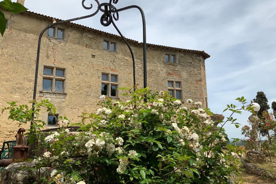 Photo of Buildings in Mezerville