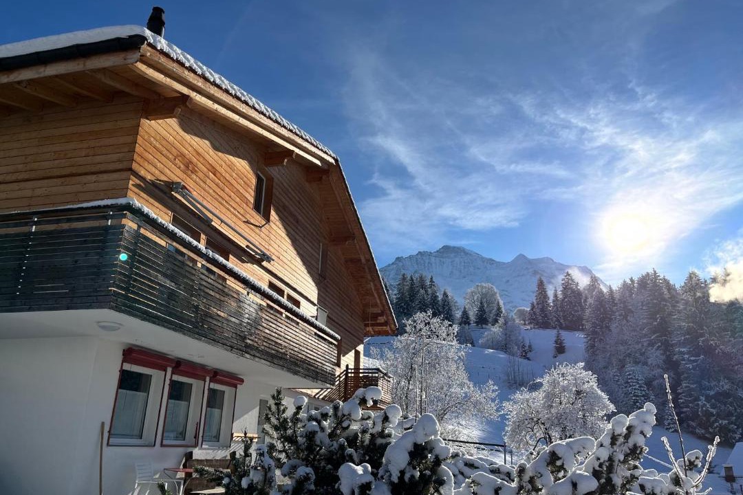 Photo of Buildings in Wengen