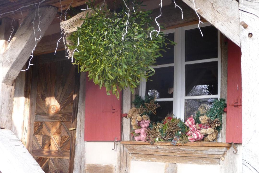 Photo of Others in Salenthal