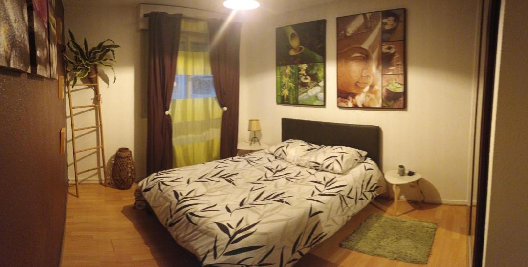 Photo of Others in Saint-Martin