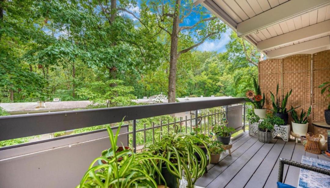 Photo of Patio Balcony in Annandale