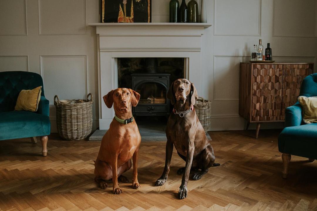 Photo of Others in Gilsland