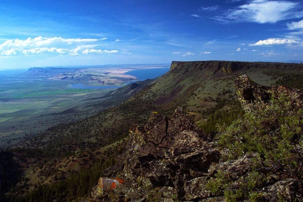 Photo of Others in Lakeview