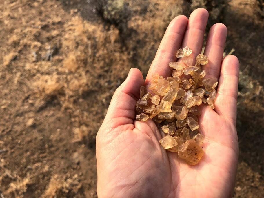 Photo of Others in Lakeview