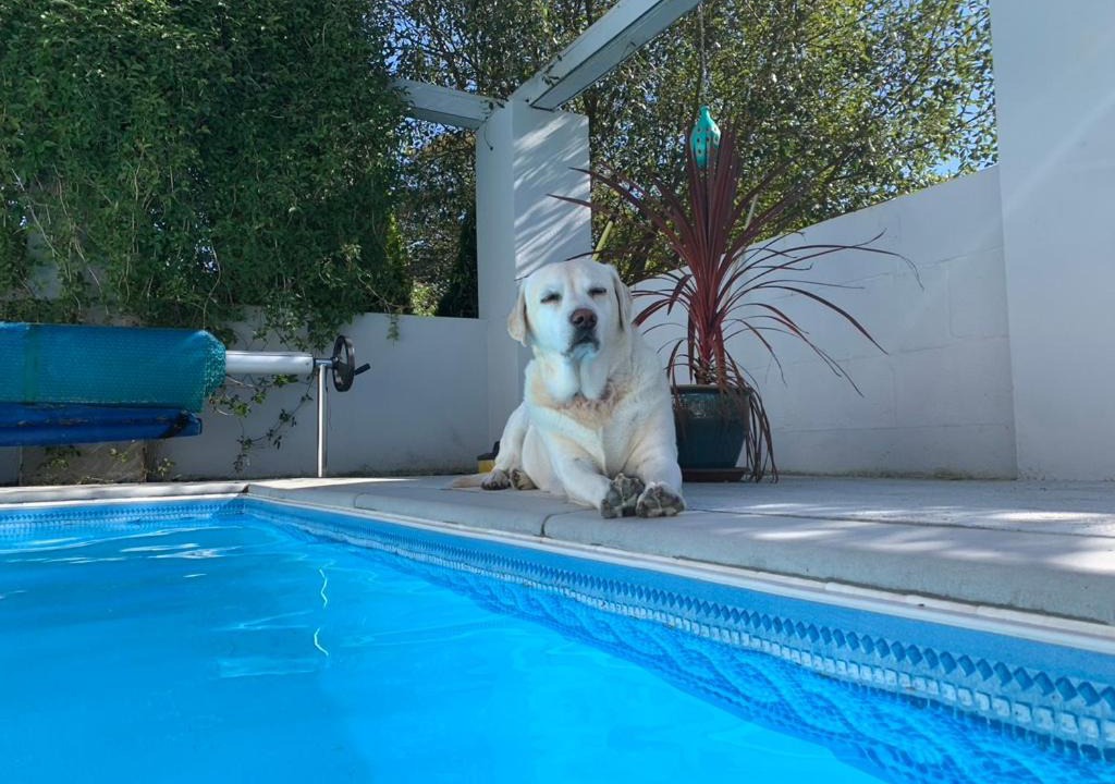 Photo of Others in Helford Passage